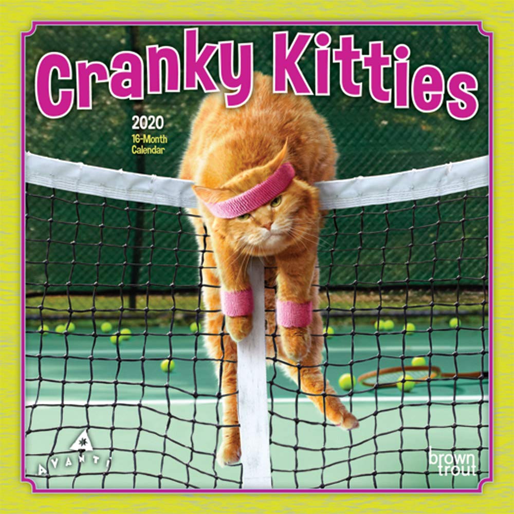 Cranky Kitties 2020 Calendar Pets