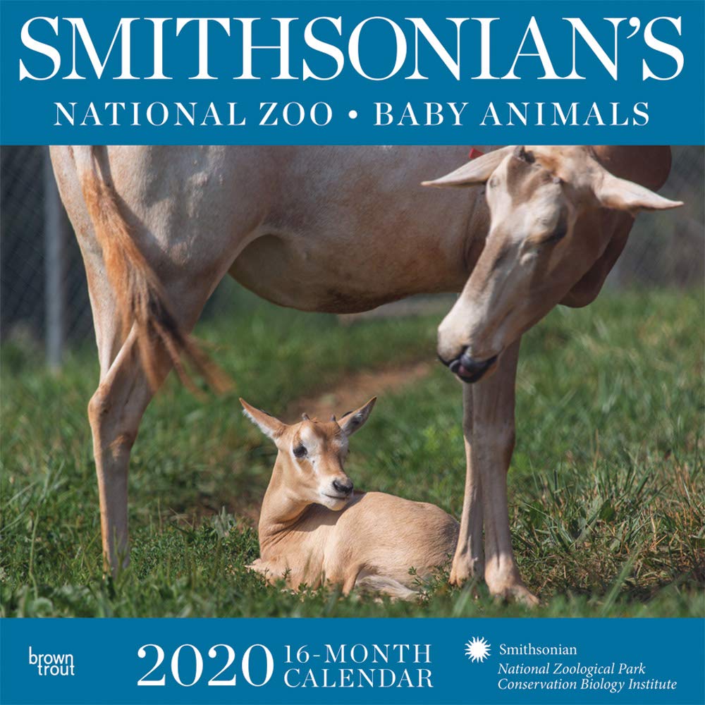 Smithsonian's National Zoo Baby Animals 2020 Calendar Books