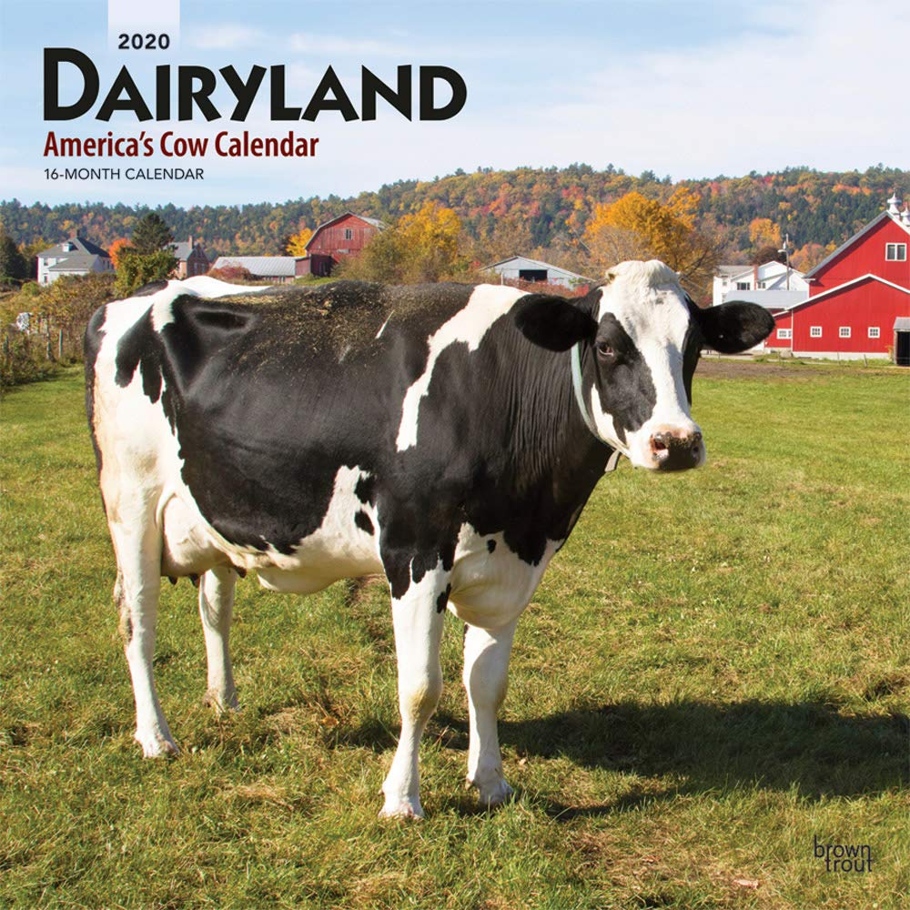 Dairyland America's Cow 2020 Calendar Leisure, Home & Garden
