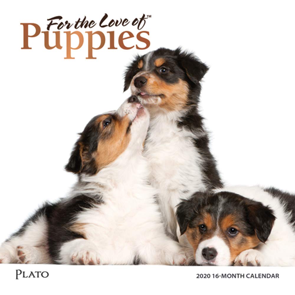 For the Love of Puppies 2020 Calendar: Foil Stamped Cover Pets