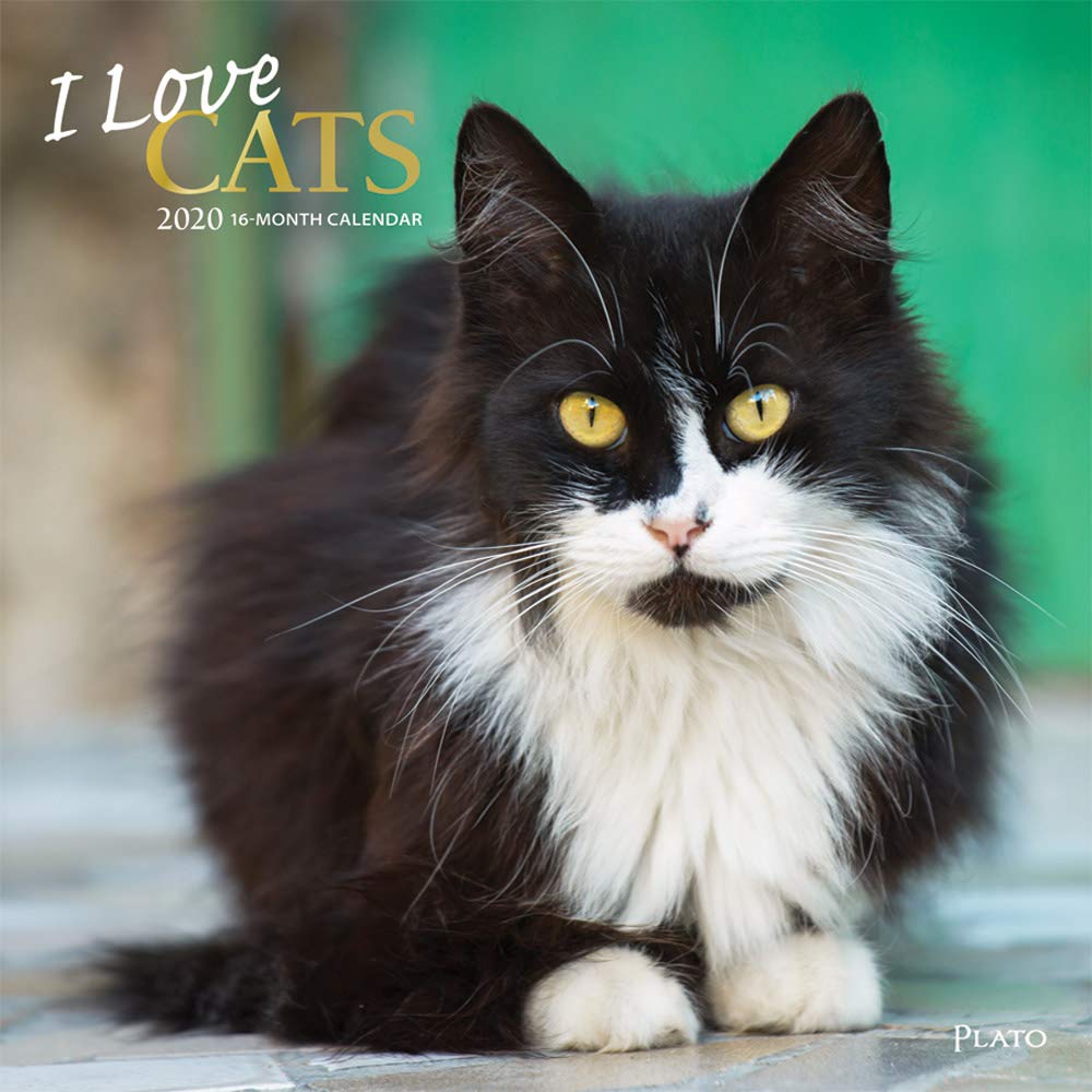 I Love Cats 2020 Calendar: Foil Stamped Cover Pets