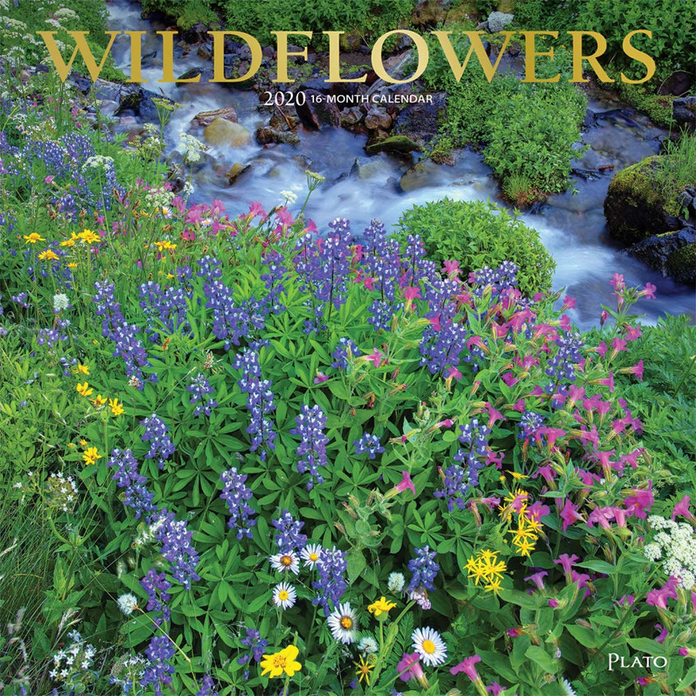Wildflowers 2020 Calendar: Foil Stamped Cover Leisure, Home & Garden