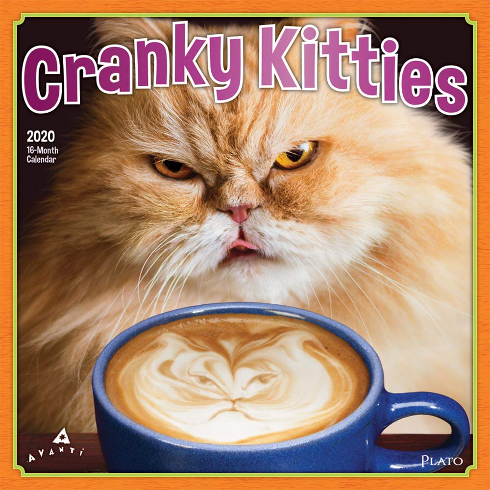 Cranky Kitties 2020 Calendar Pets