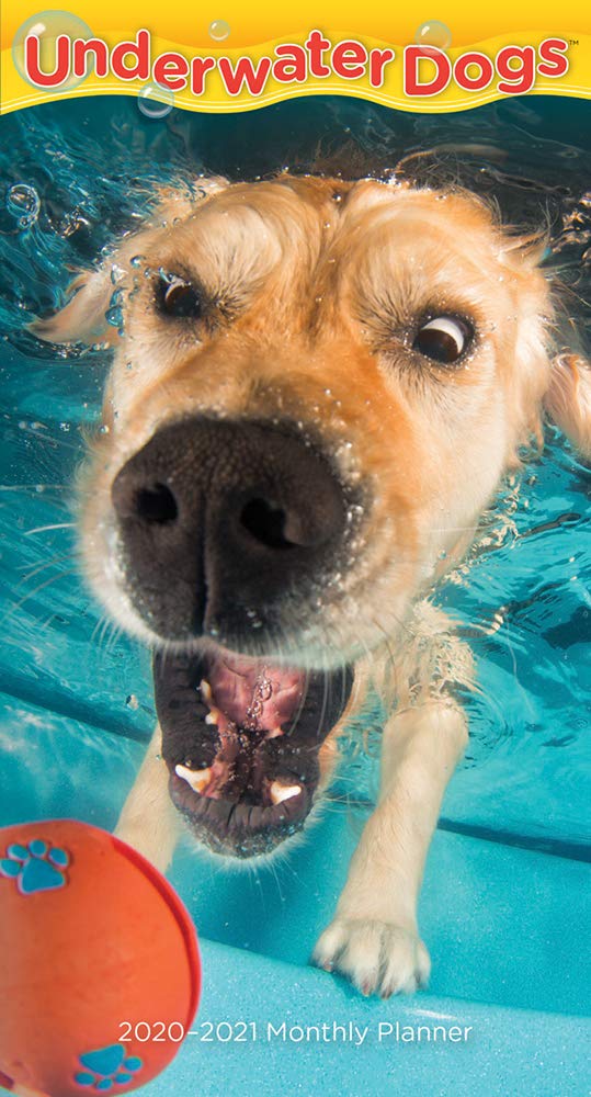 Underwater Dogs 2020 Pocket Planner Pets