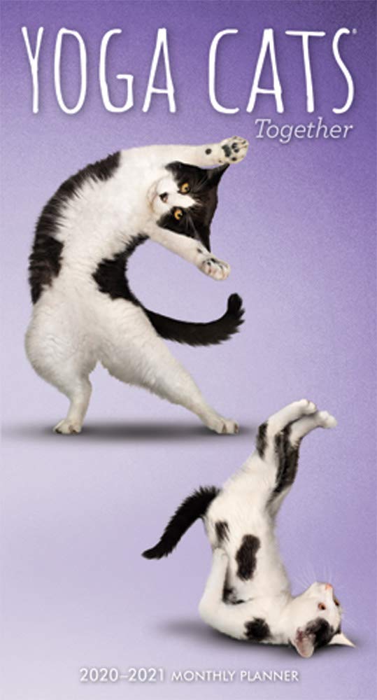 Yoga Cats Together 2020 Pocket Planner Pets