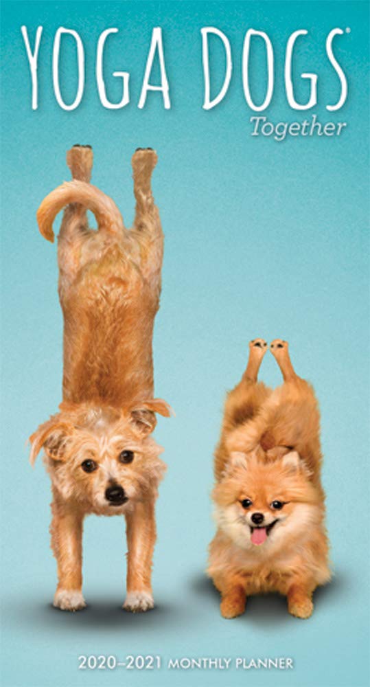 Yoga Dogs Together 2020 Pocket Planner Pets