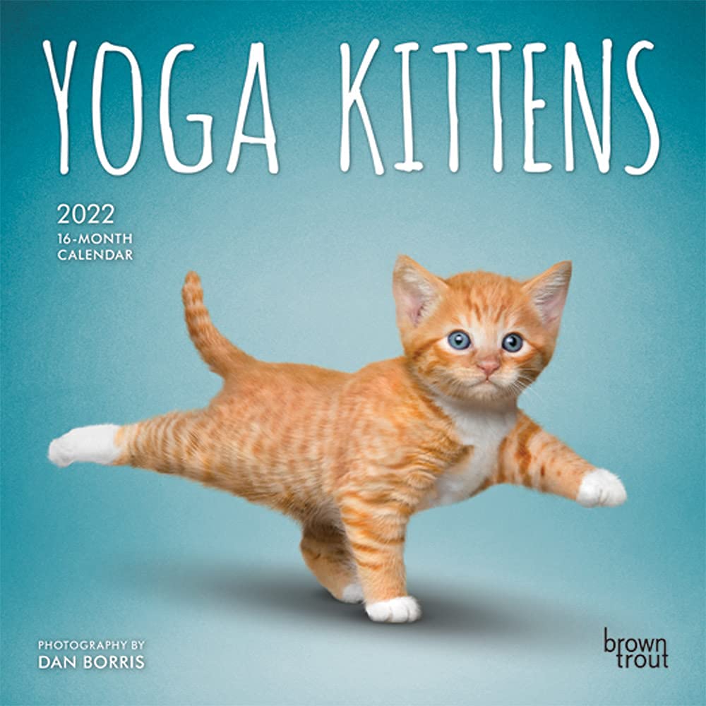 Yoga Kittens OFFICIAL 2022 7 x 7 Inch Monthly Mini Wall Calendar, Animals Humor Cats Feline Lifestyle