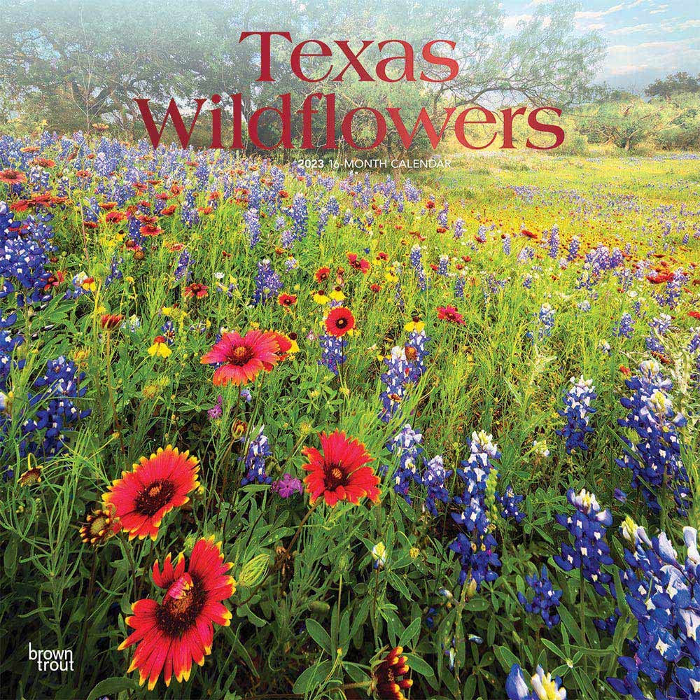 Texas Wildflowers 2023 Square Foil Calendars