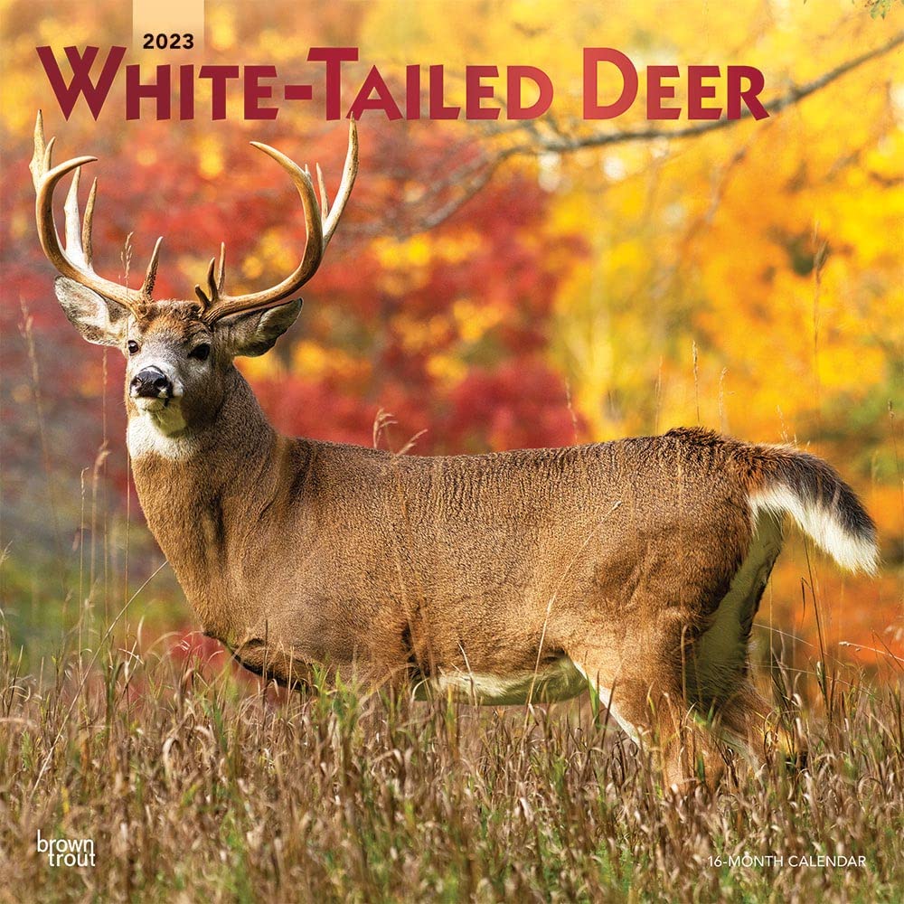 White Tailed Deer 2023 Square Foil Calendars