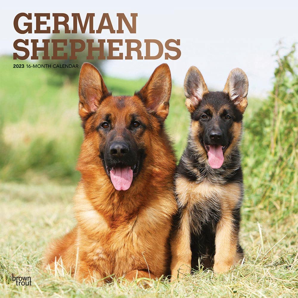 German Shepherds 2023 Square Foil Calendar Calendars