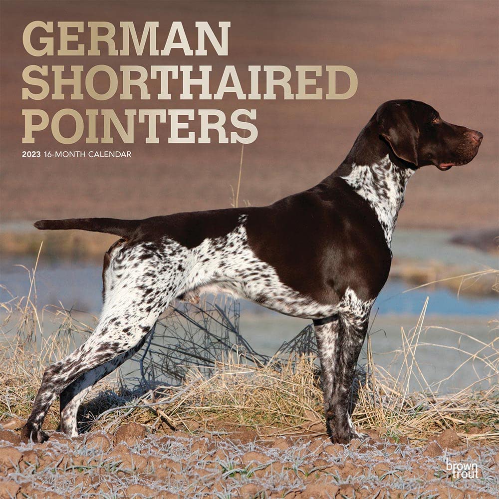 German Shorthaired Pointers 2023 Square Foil Calendar Calendars