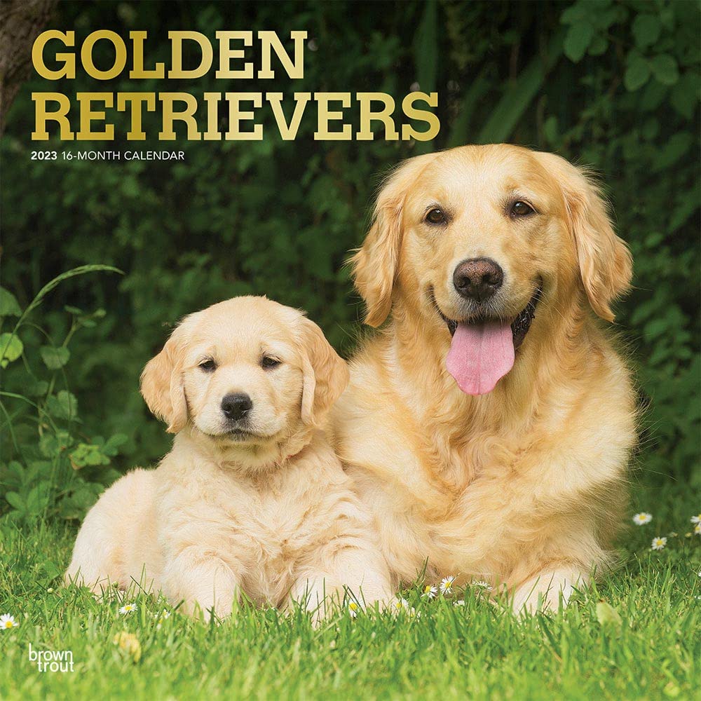 Golden Retrievers 2023 Square Foil Calendar Calendars