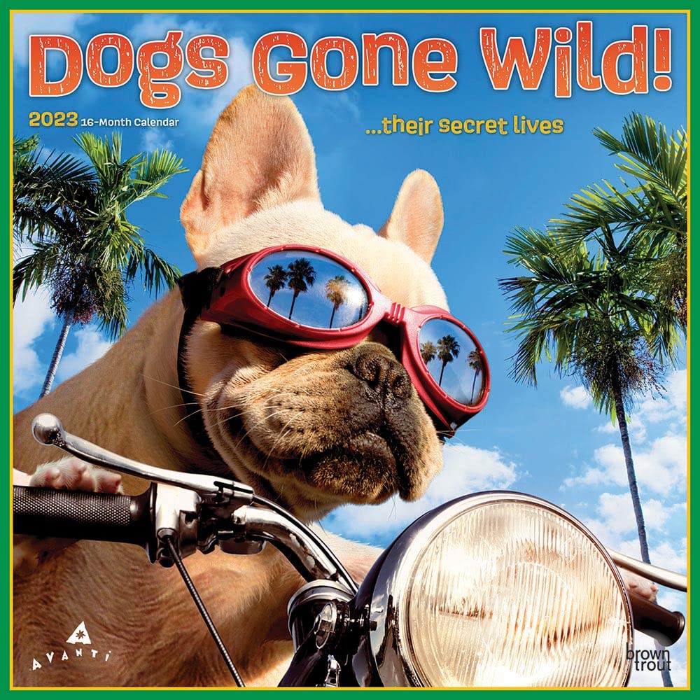 Avanti Dogs Gone Wild 2023 Square Calendars
