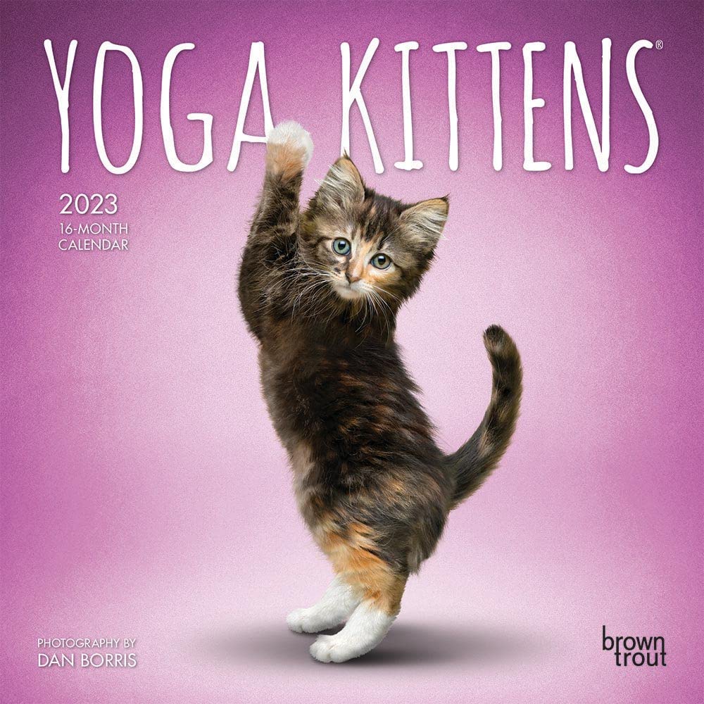 Yoga Kittens 2023 Mini 7x7 Calendar Lifestyle