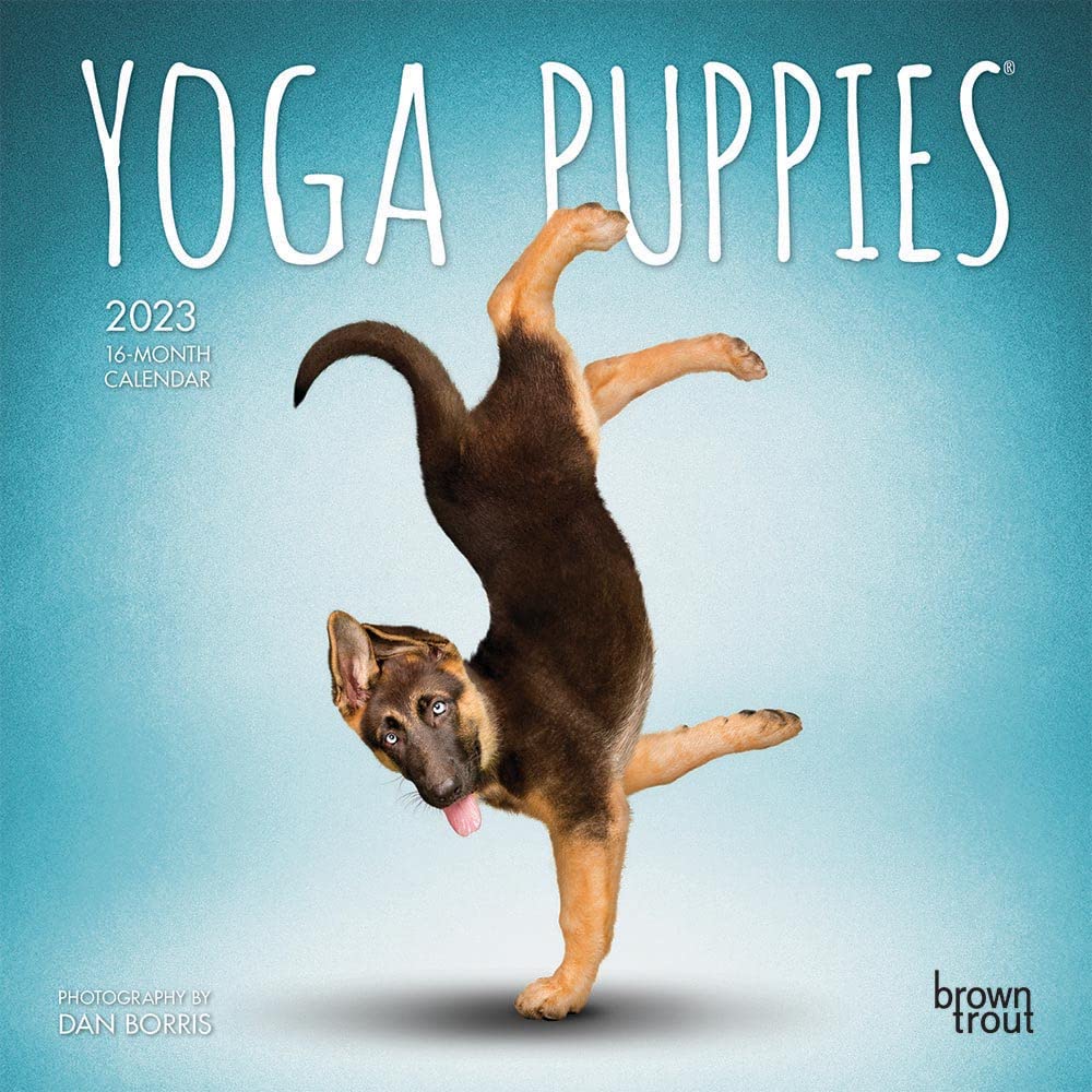 Yoga Puppies 2023 Mini 7x7 Calendar Lifestyle