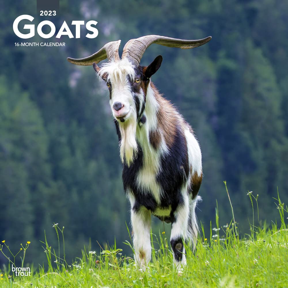 Goats 2023 Square Calendars