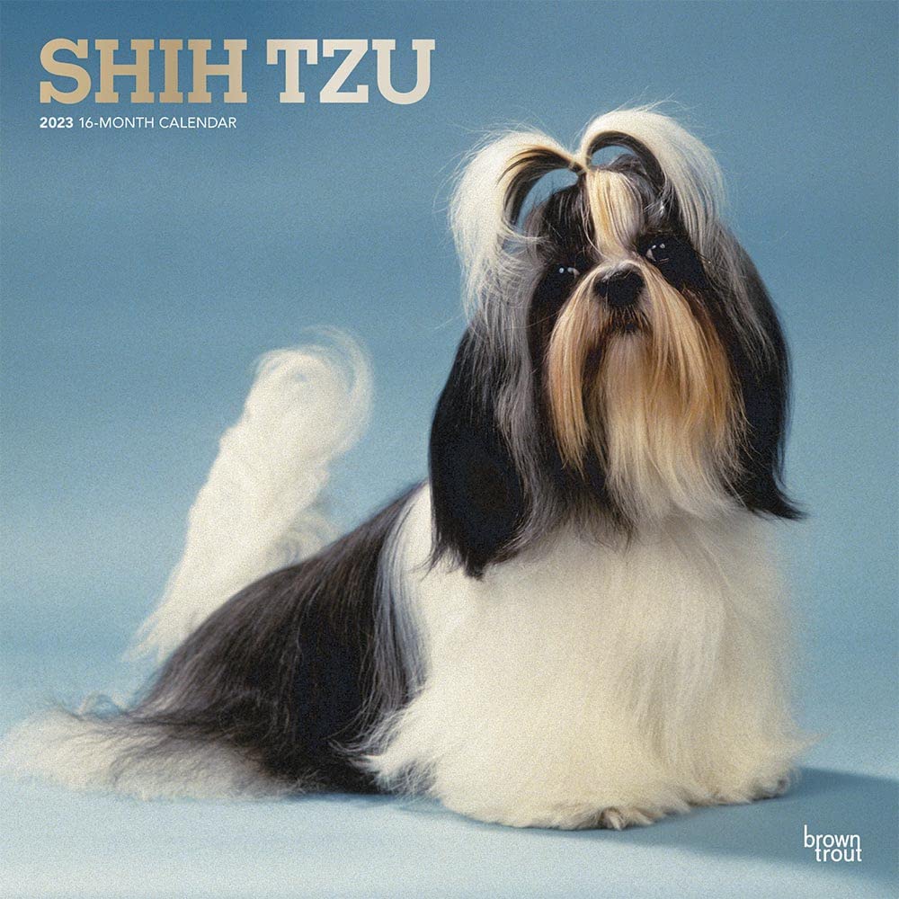 Shih Tzu 2023 Square Foil Calendar Calendars