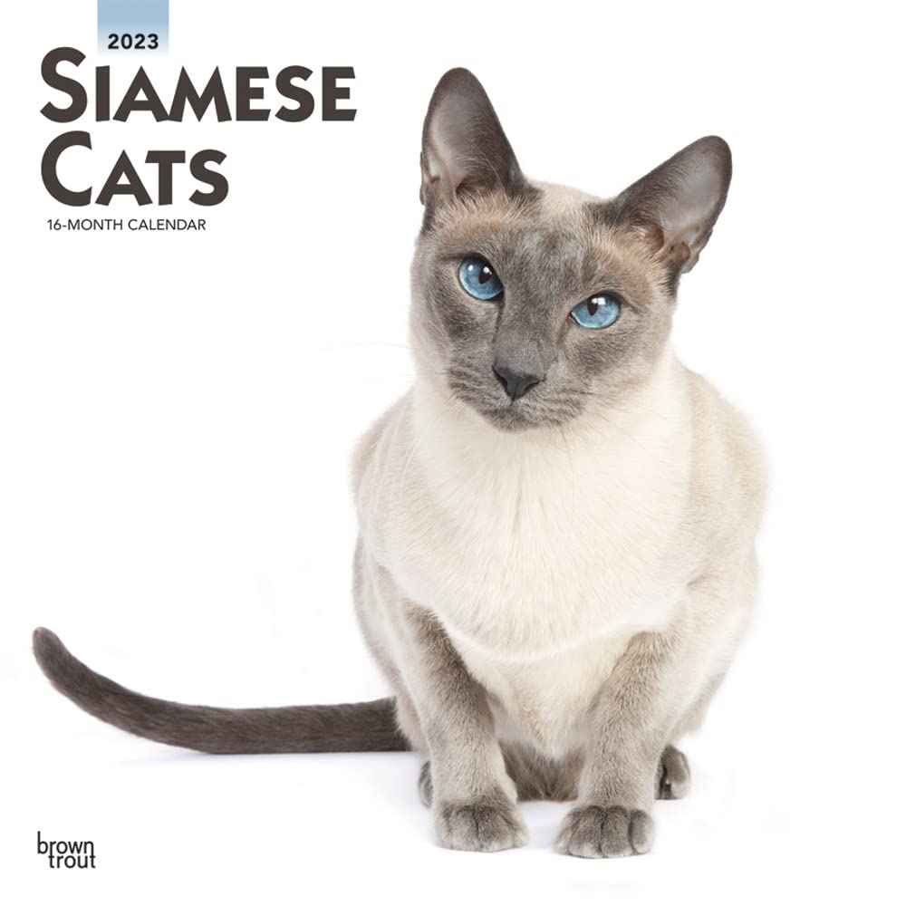 Siamese Cats 2023 Square Calendars