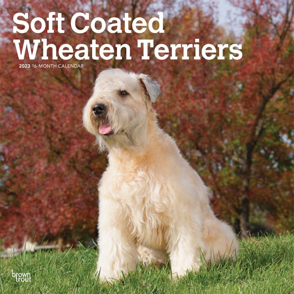 Wheaten Terriers Soft Coated 2023 Square Calendars