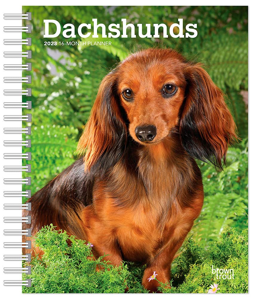 Dachshunds 2023 Engagement Calendars