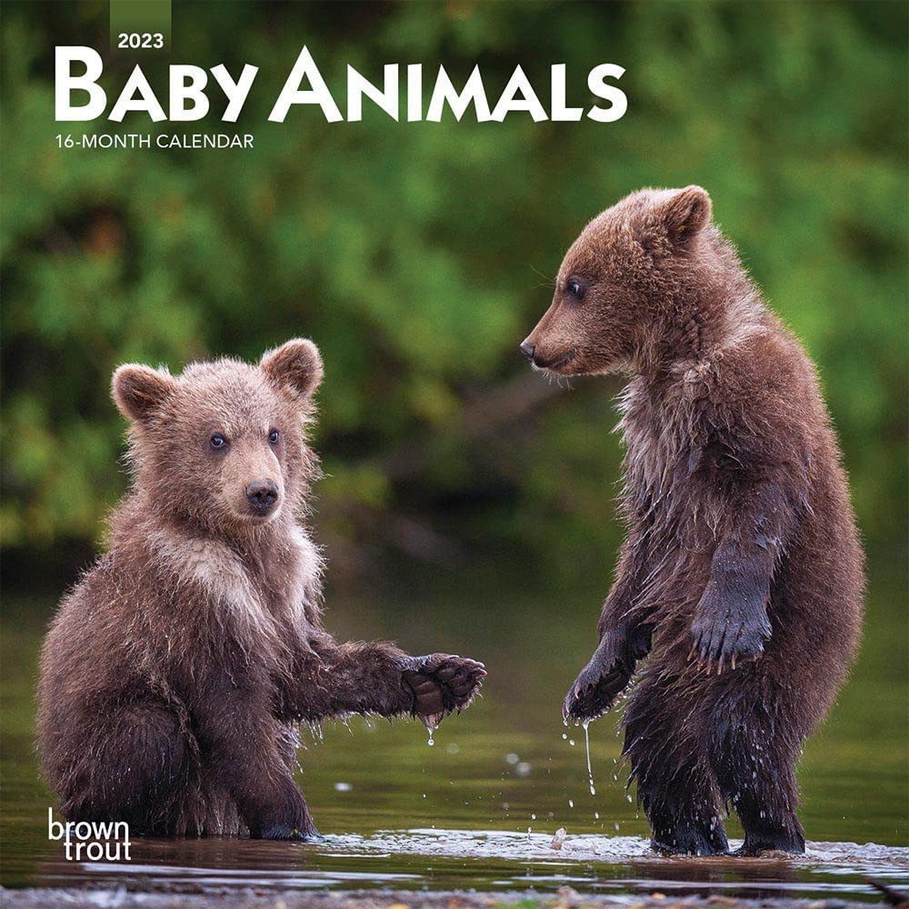 Baby Animals 2023 Mini 7x7 Calendars