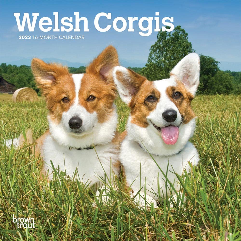Welsh Corgis 2023 Mini 7x7 Calendars