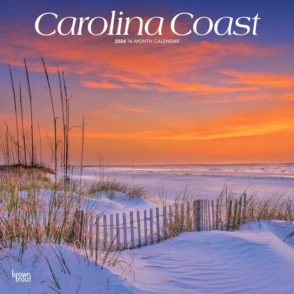 Carolina Coast | 2024 12 x 24 Inch Monthly Square Wall Calendar | BrownTrout | USA United States of America Southeast State Nature Leisure, Home & Garden