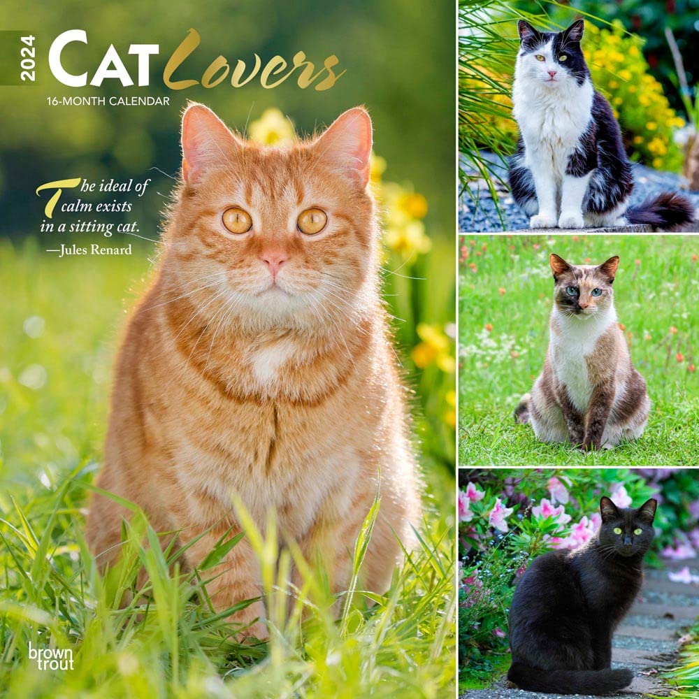 Cat Lovers 2024 Square Foil Calendars