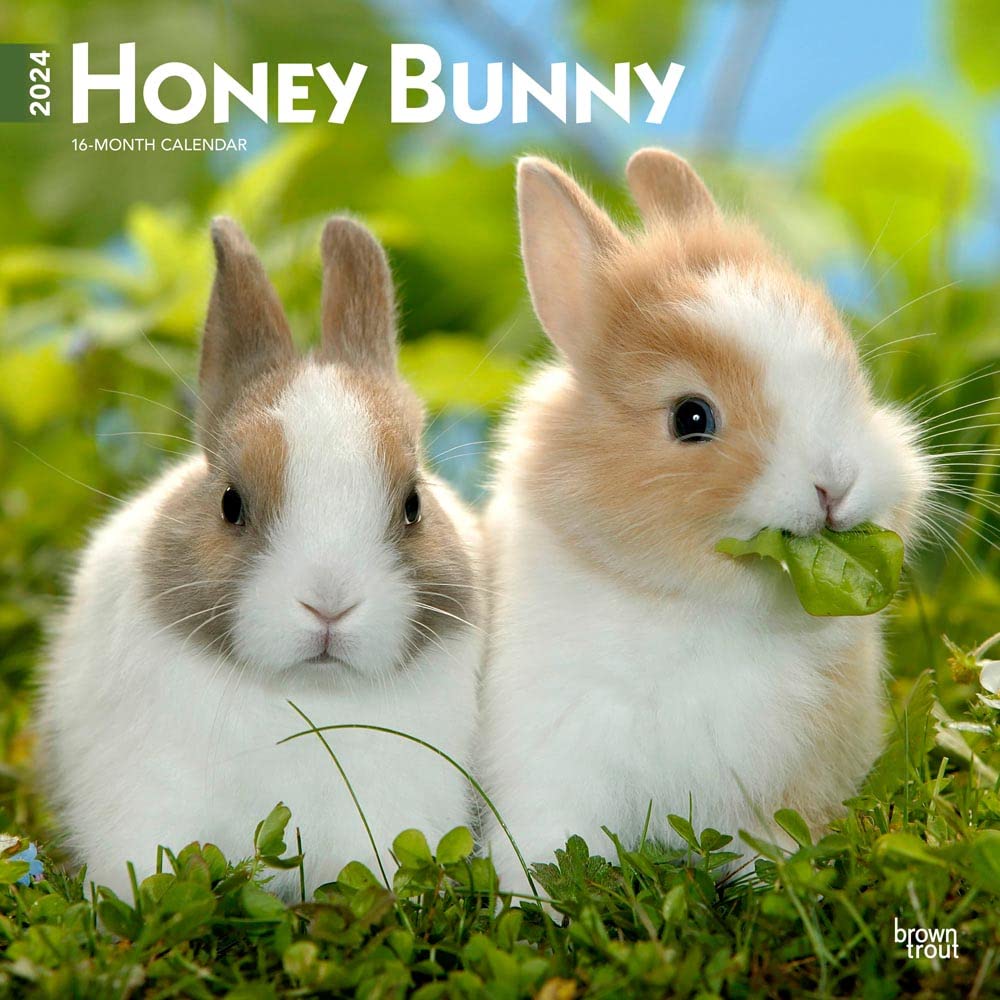 Honey Bunny | 2024 12 x 24 Inch Monthly Square Wall Calendar | BrownTrout | Domestic Small Cute Animals Books