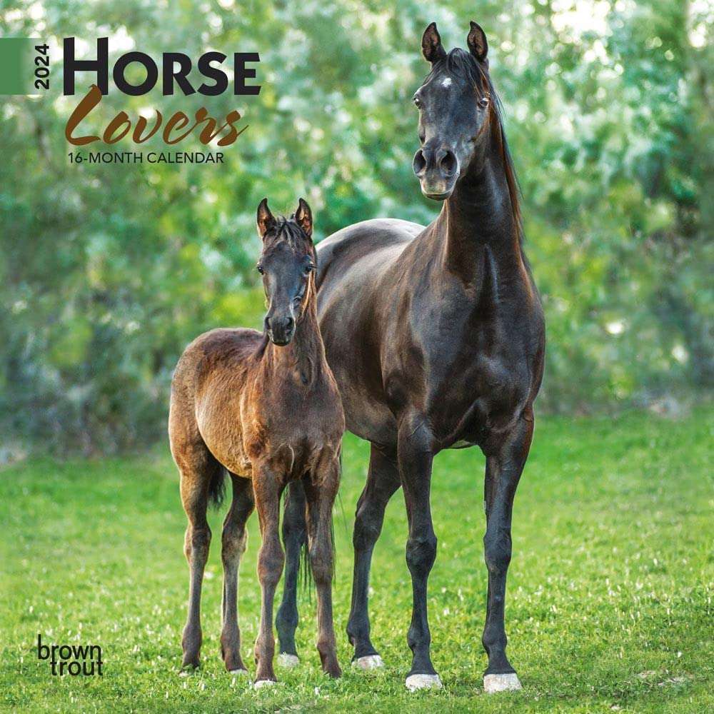 Horse Lovers 2024 Mini 7x7 Calendars