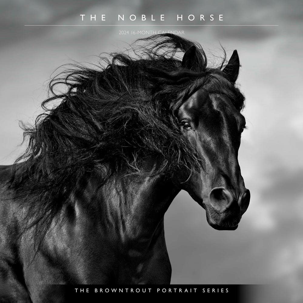 Horse, the Noble, the Browntrout Portrait Series 2024 Square Calendars
