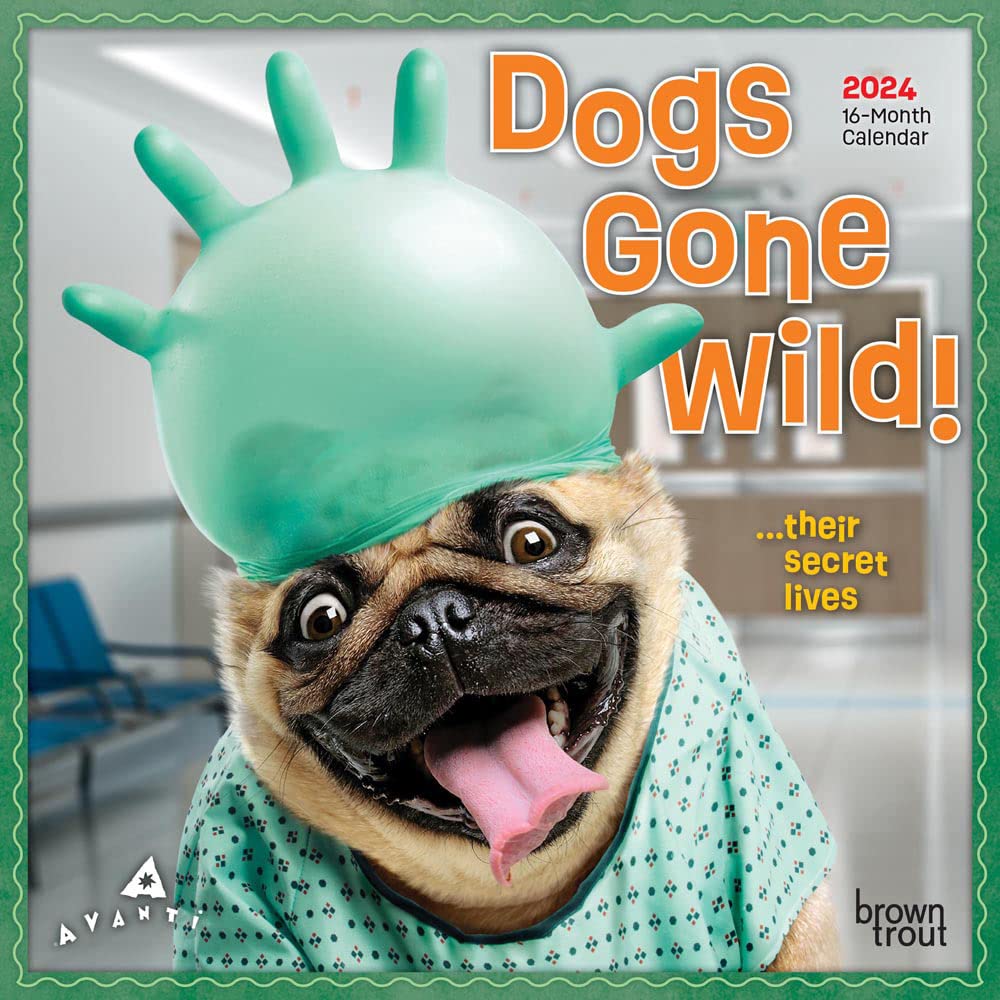 Avanti Dogs Gone Wild | 2024 7 x 14 Inch Monthly Mini Wall Calendar | BrownTrout | Canine Pet Humor Calendars