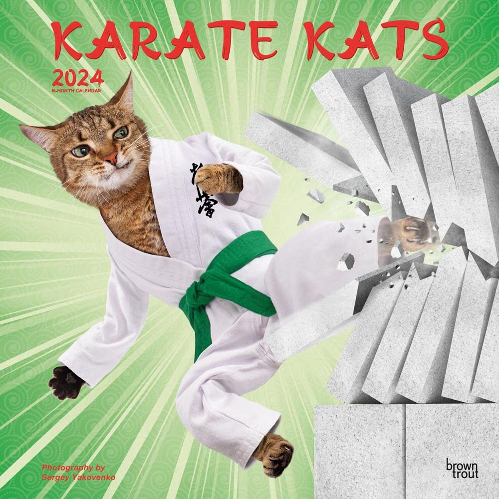 Karate Kats 2024 Square Calendars