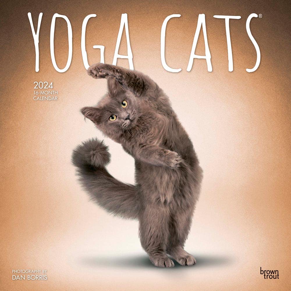 Yoga Cats – Yoga-Katzen 2024 – 16-Monatskalender: Original BrownTrout-Kalender (Wall-Kalender) Pets