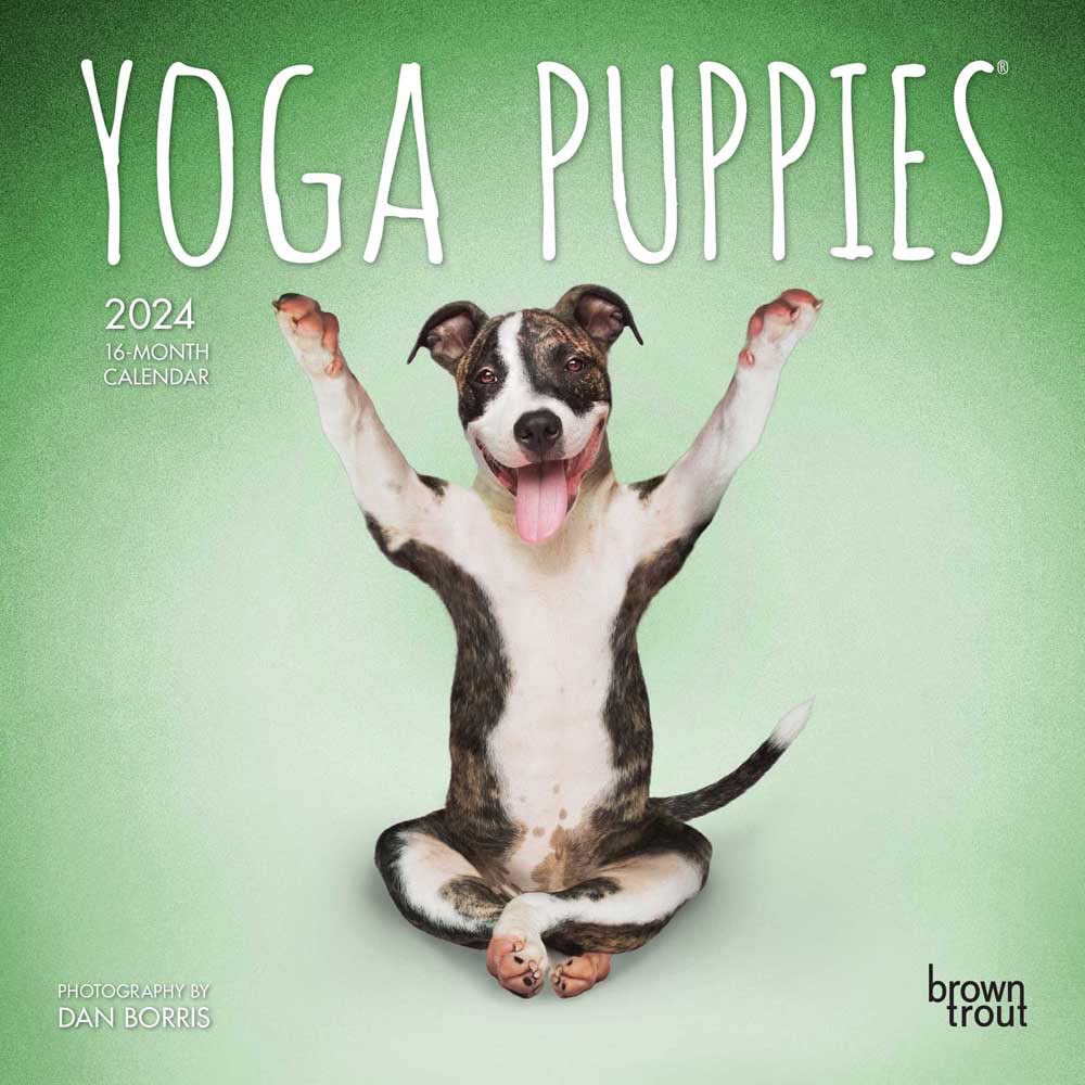 Yoga Puppies 2024 Mini 7x7 Lifestyle