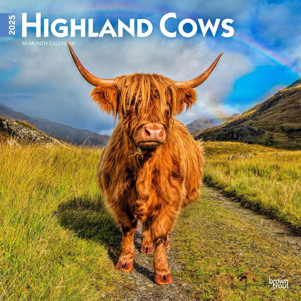 HIGHLAND COWS 2025 SQUARE WRAP Books
