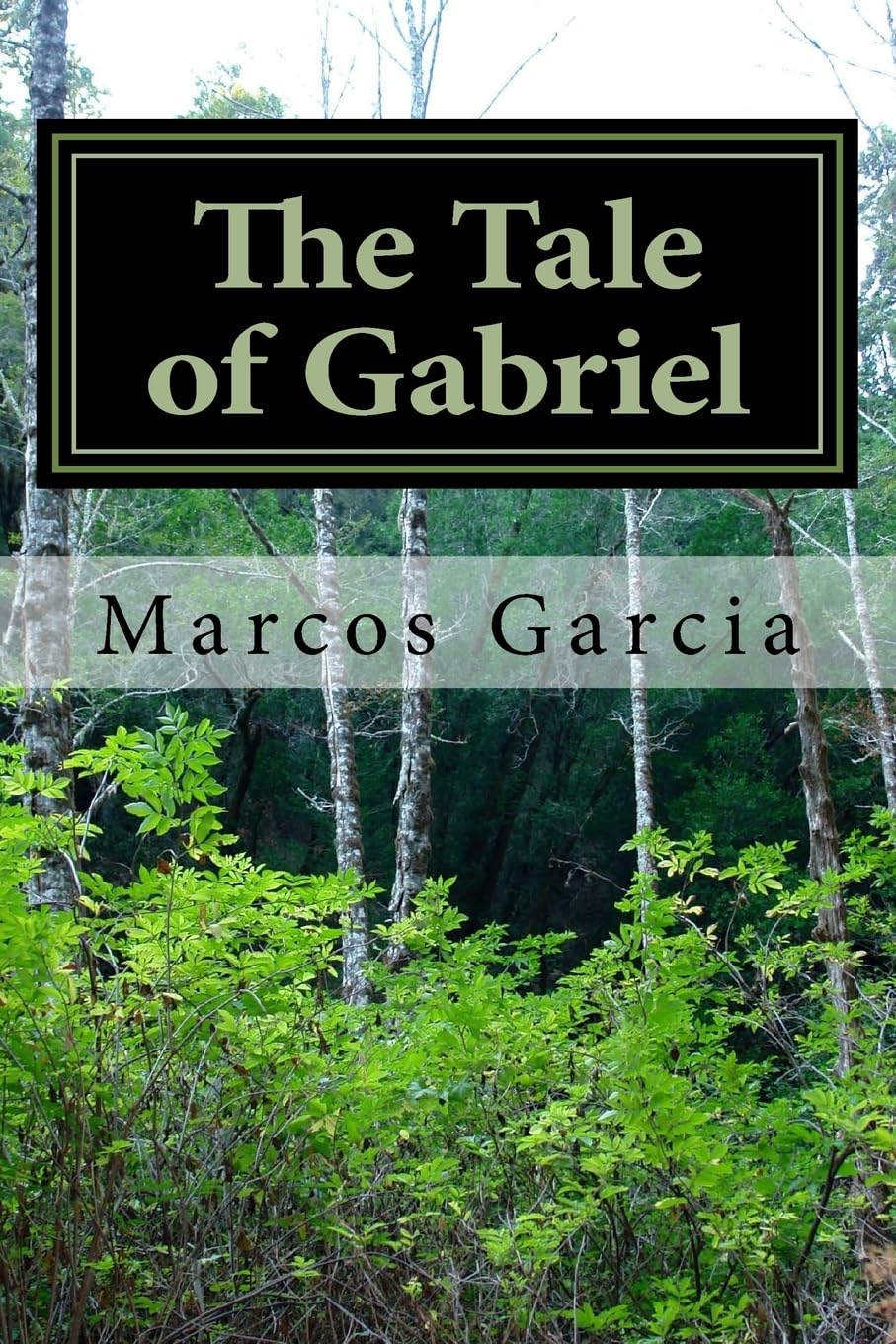 The Tale of Gabriel (Gabriel Chronicles, Band 1) Politics & Society