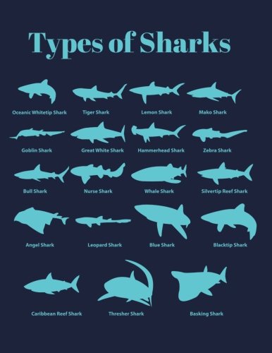 Types Of Sharks: Shark Notebook (Composition Book Journal) (8.5 x 11 Large) Books
