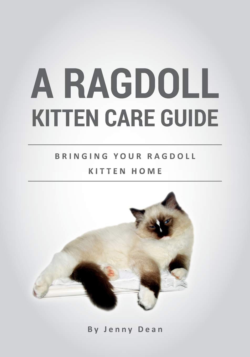 A Ragdoll Kitten Care Guide: Bringing Your Ragdoll Kitten Home Pets