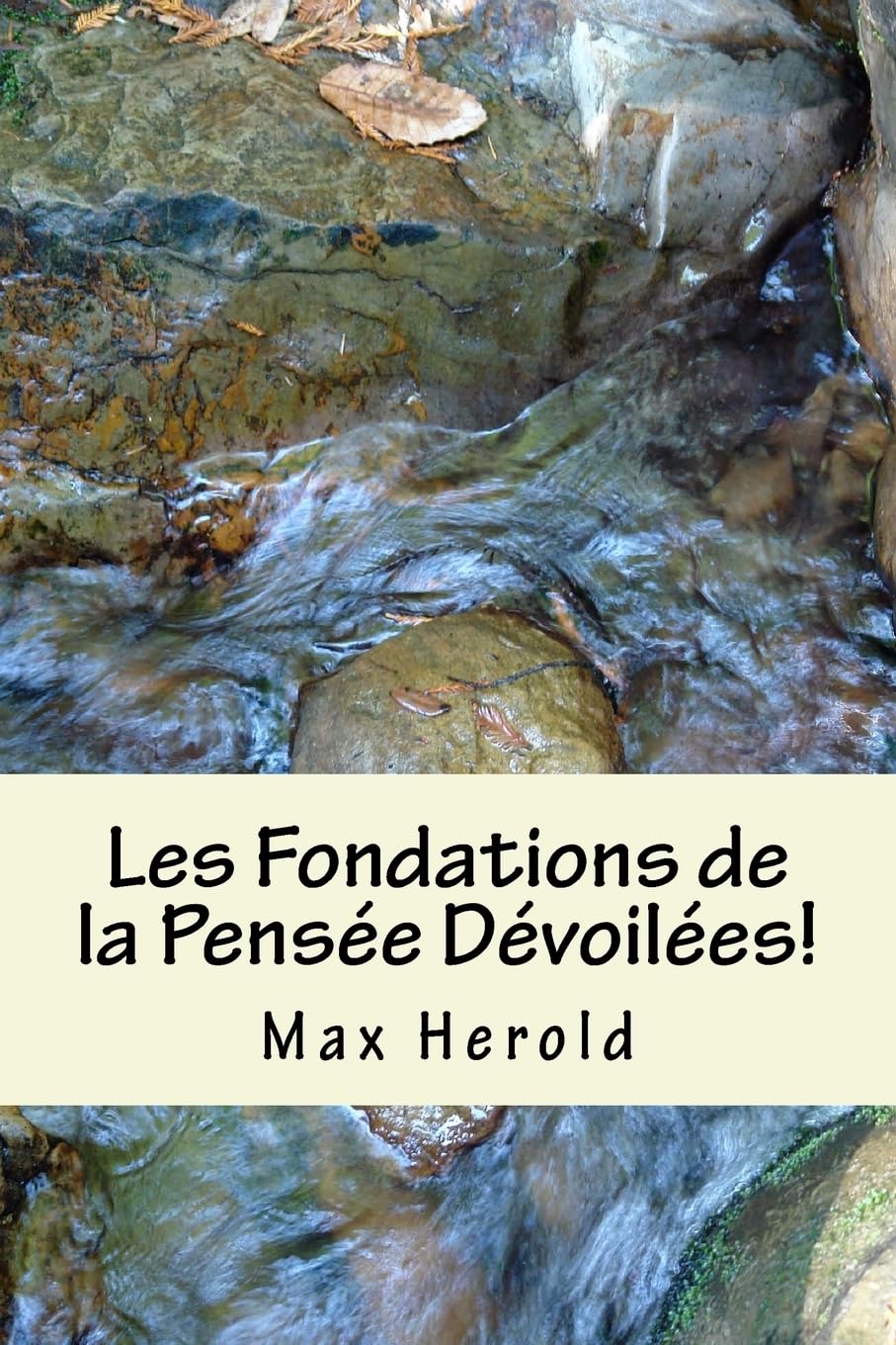 Les Fondations de la Pensee Devoilees!: Les codes de la pensee et le monde qui en decoule: Une introduction dans la Spirale Dynamique book
