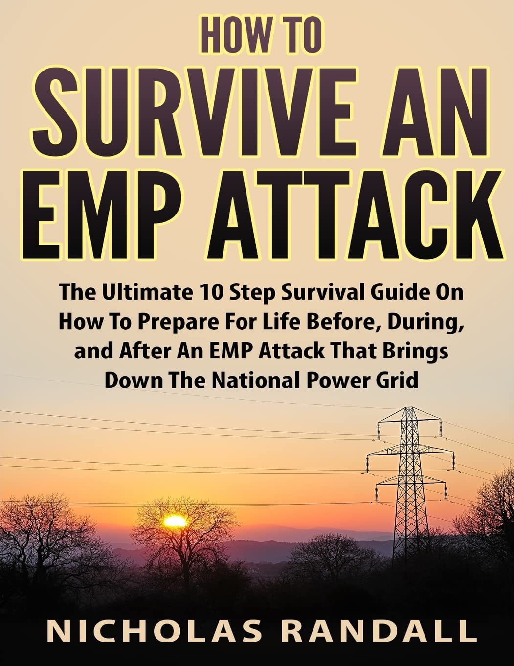 How To Survive An EMP Attack: The Ultimate 10 Step Survival Guide On How To Prepare For Life Before, During, and After an EMP Attack That Brings Down The National Power Grid Leisure & Fun