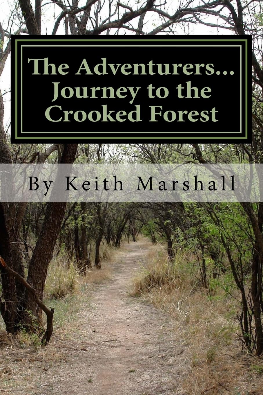 The Adventurers...Journey to the Crooked Forest book