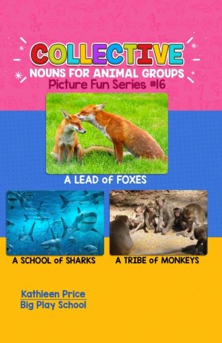 Collective Nouns for Animal Groups (Picture Fun Series) Study Guides