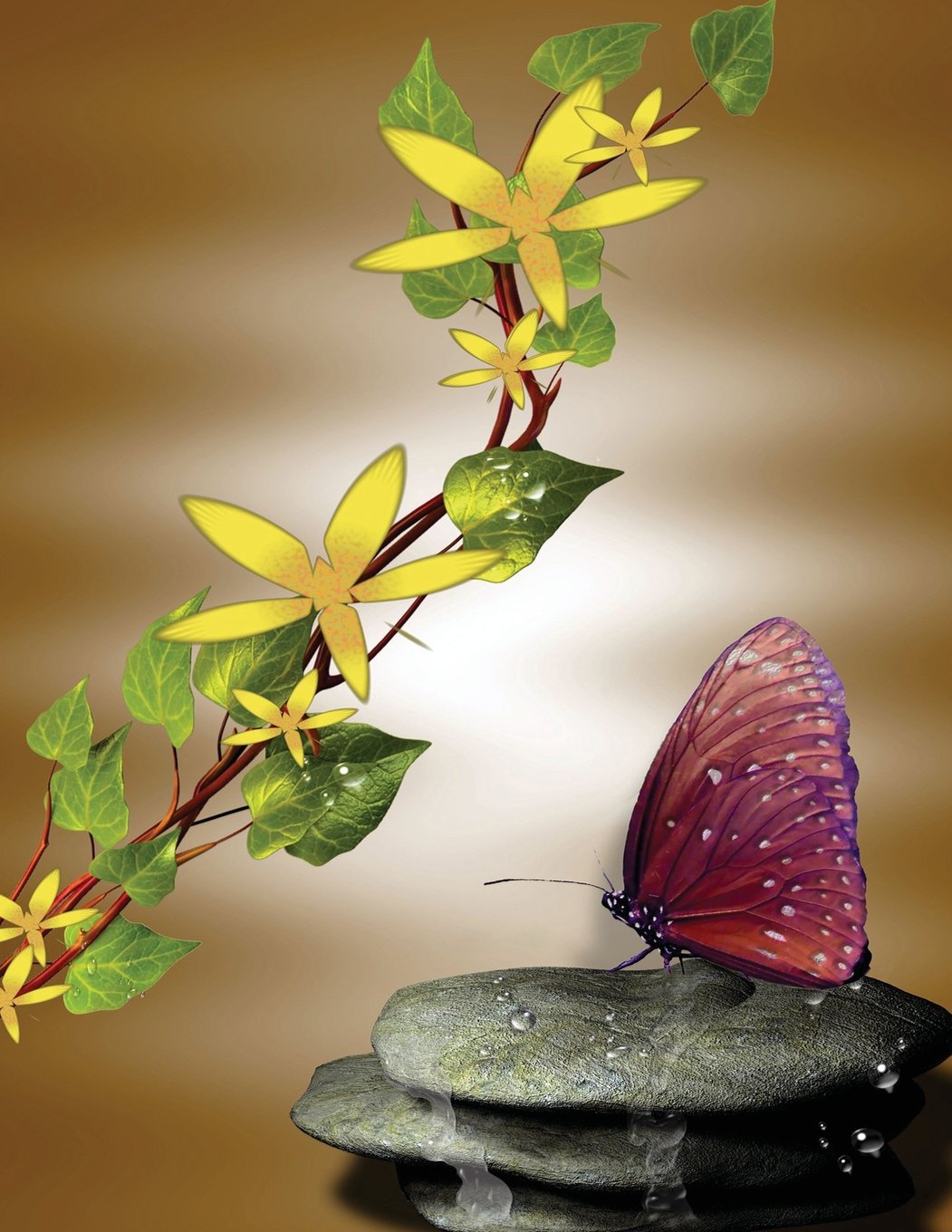Butterfly Stone Notebook: 8.5 X 11 202 Wide Ruled Pages Mathematics