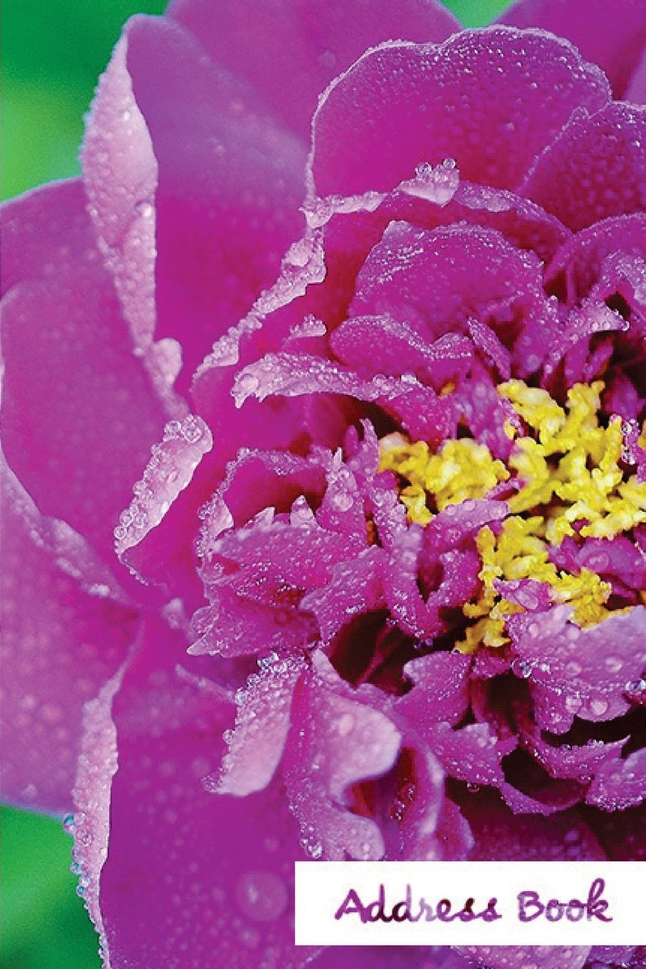 Address Book.: Glossy And Soft Cover, Large Print, Font, 6" x 9" For Contacts, Addresses, Phone Numbers, Emails, Birthday And More. (Address Book Flower Edition.) Self-help