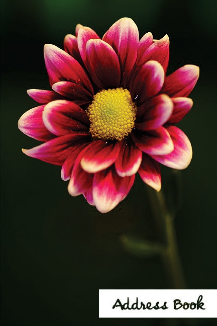 Address Book.: Glossy And Soft Cover, Large Print, Font, 6" x 9" For Contacts, Addresses, Phone Numbers, Emails, Birthday And More. (Address Book Flower Edition.) Self-help