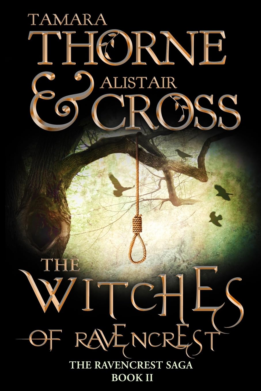 The Witches of Ravencrest: Volume two of The Ravencrest Saga book