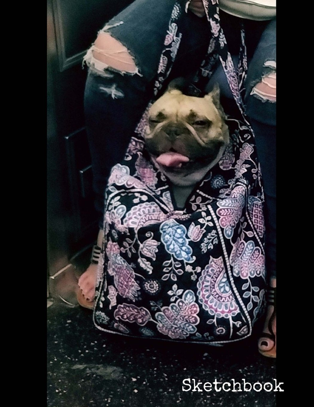 Sketchbook: 8.5 x 11 Large Sketchbook, “Dog on New York Subway” Soft Matte finish cover, Drawing Book, Blank Writing Book, Legal Size Notebook, A4 ... pages with No Lines (New York Shots, Band 6) Media & Communication
