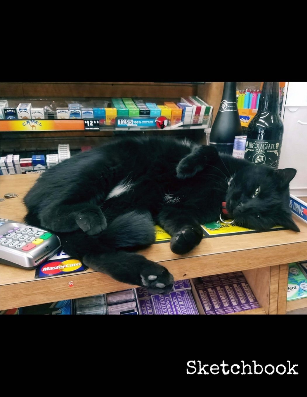Sketchbook: 8.5 x 11 Large Sketchbook, “Bodega Cat” Soft Matte finish cover, Drawing Book, Blank Writing Book, Legal Size Notebook, A4 Sketch Pad, ... pages with No Lines (New York Shots, Band 13) Media & Communication