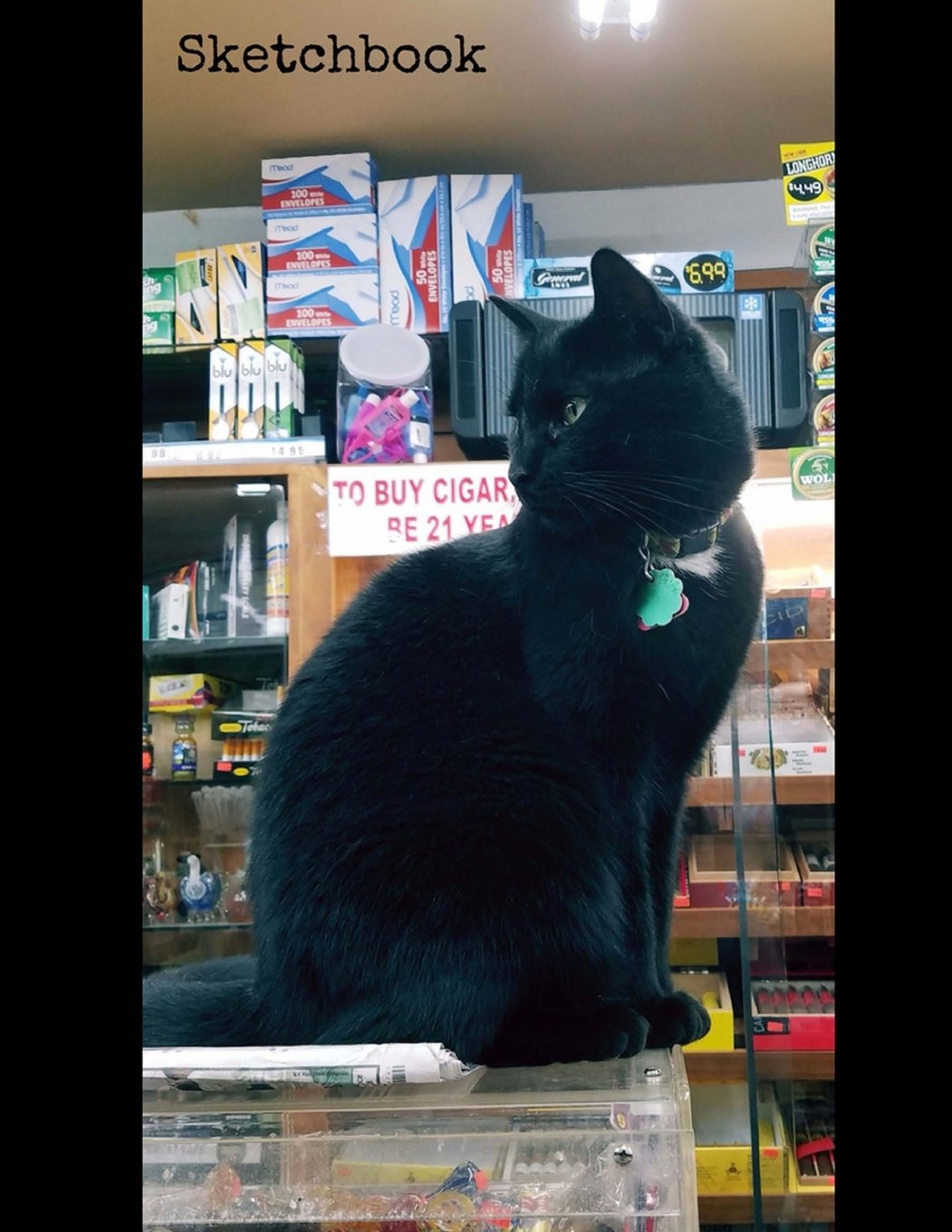 Sketchbook: 8.5 x 11 Large Sketch book, "Bodega Cat Profile" Cover, Blank Book for Drawing, Sketching, Doodling, Writing (Notebook, Journal) White ... Pages with No Lines (New York Shots, Band 16) Business, Finance & Career